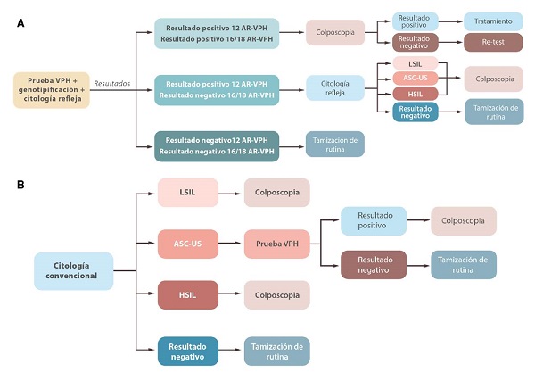 Esquemas de tamizaje de intervenci&oacute;n y de comparaci&oacute;n. a. Intervenci&oacute;n: prueba de VPH con genotipificaci&oacute;n y citolog&iacute;a refleja. b. De comparaci&oacute;n: citolog&iacute;a convencional