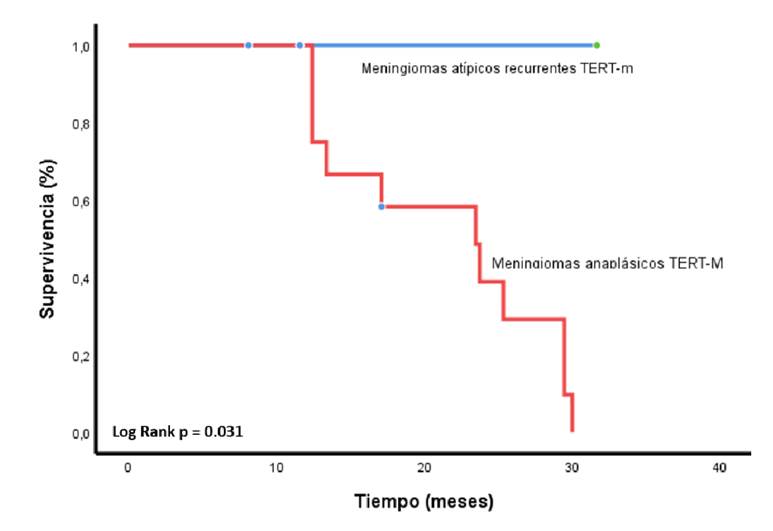 Supervivencia global a partir del inicio del tratamiento seg&uacute;n la presencia de mutaciones en el pTERT y el grado tumoral (at&iacute;picos y anapl&aacute;sicos)