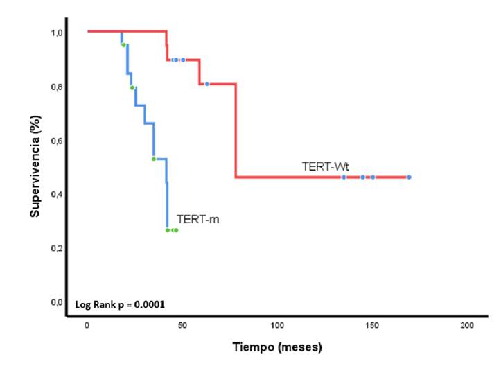 Supervivencia global desde el diagn&oacute;stico, seg&uacute;n la presencia de mutaciones en el pTERT