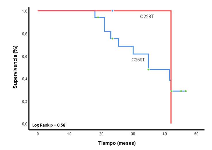 Supervivencia global desde el diagn&oacute;stico, de los pacientes con mutaciones en el pTERT, seg&uacute;n su variante