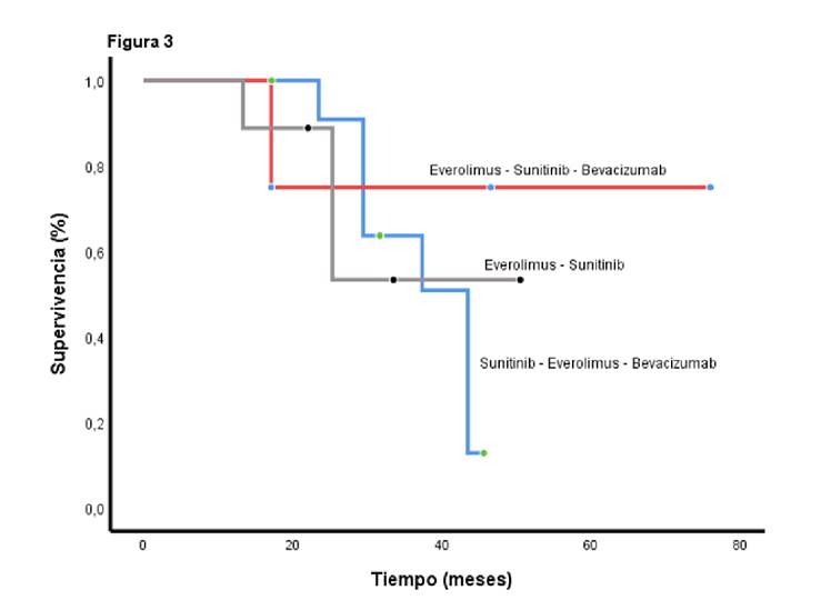 La supervivencia global seg&uacute;n la secuencia de tratamiento es de 43,4 meses para la serie everolimus, sunitinib y bevacizumab (IC95% 37,1-49,7), de 37,4 meses para sunitinib, everolimus y bevacizumab (IC95% 26,3-48,0), y de 27,7 meses para sunitinib, bevacizumab y everolimus (IC95% 12,4-46,0) (p=0,0001).