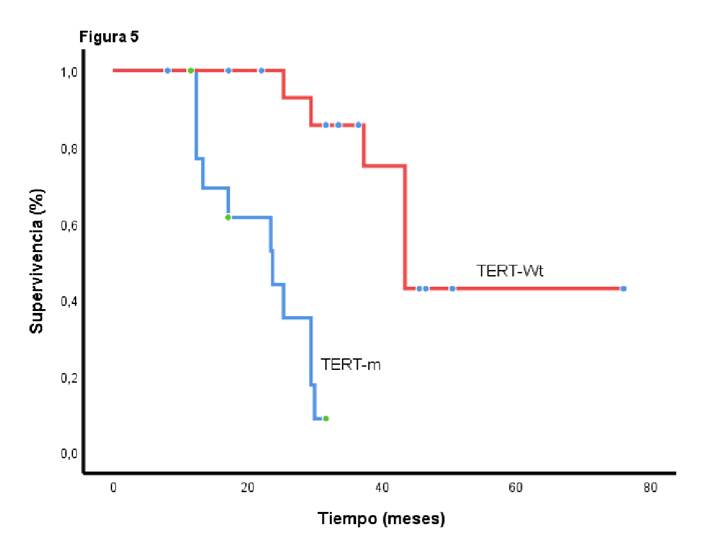 Supervivencia global seg&uacute;n la presencia de mutaciones en TERT