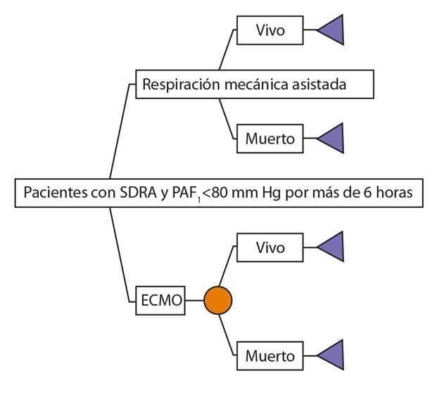 &Aacute;rbol de decisiones