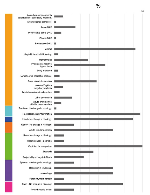 Frequencies of histopathological findings for 50 fatal cases associated with COVID-19. 
