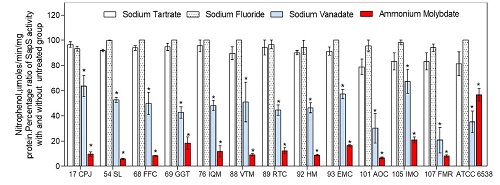 Percentageof appS activityinthepresenceandabsenceof phosphatasesinhibitors. SppS activitywasassessed from protein extracts of culture media of clinical strains; 10 mM ofp-nitro-phenyl-phosphate was used as substrate. Assays were run in triplicate from three independent experiments; results are expressed as mean &plusmn; standard error of the mean. Statistical analysis was performed using ANOVA and significance was set at *p<0.05.