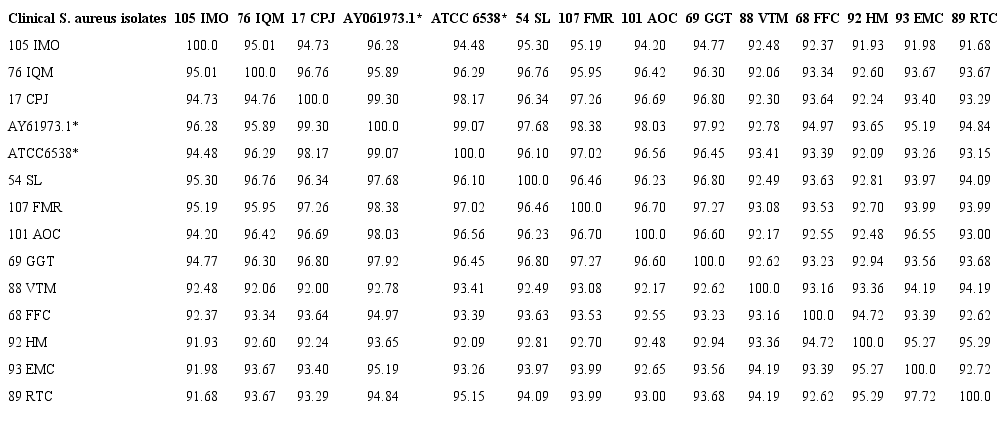 Identity percentage of nucleotide sequence similarities between the SapS gene secuences of our 12 clinical Staphylococcus aureus isolates, the American Type Culture Collection Staphylococcus aureus strain, code ATCC-6538; and the Staphylococcus aureus 154 strain (accession number AY61973.1) 5.