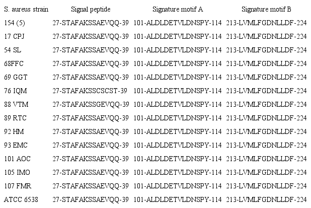 Conserved and relevant SapS amino acid sequences in Staphylococcus. aureus clinical strains.