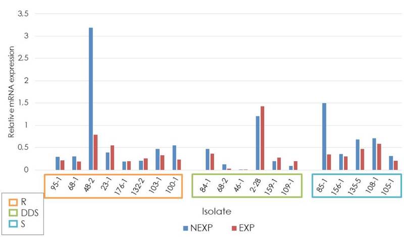 Relative expression of the CDR1 gene in Candida tropicalis