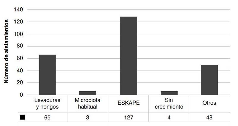 Clasificaci&oacute;n de los microorganismos identificados mediante el sistema automatizado Vitek&reg; 2 (BioM&eacute;rieux, Marcy l'&Eacute;toile, Francia)