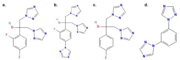 (a) fluconazol (2-(2,4-difluorofenil)-1,3-bis(1,2,4-triazol-1-il)propan-2-ol) (1); (b) fluconazol - compuesto relacionado A (2-[2-fluoro-4-(1H-1,2,4-triazol-1-il)fenil]-1,3-bis(1H-1,2,4-triazol-1-il)-propan-2-ol) 18; (c) fluconazol - compuesto relacionado B (2-(4-fluorofenil)-1,3-bis(1H-1,2,4-triazol-1-il)propan-2-ol) 19; (d) fluconazol - compuesto relacionado C (1,3-Di(1H-1,2,4-triazol-1-il)benceno) 20