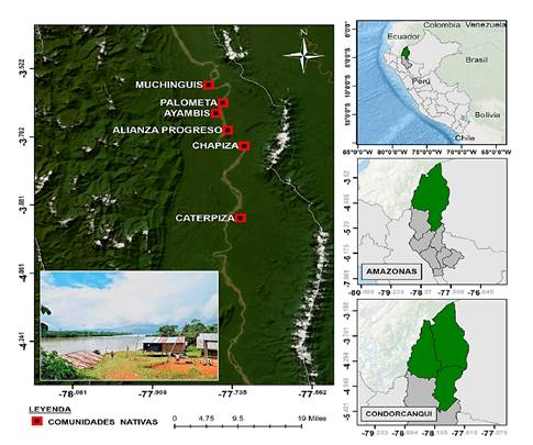 Mapa de los sitios de recolección en el distrito de Río Santiago, Provincia de Condorcanqui, Amazonas, Perú. Se muestran las comunidades nativas ubicadas a lo largo del río Santiago: Palometa, Ayambis, Chapiza, Alianza Progreso, Muchinguis y Caterpiza.