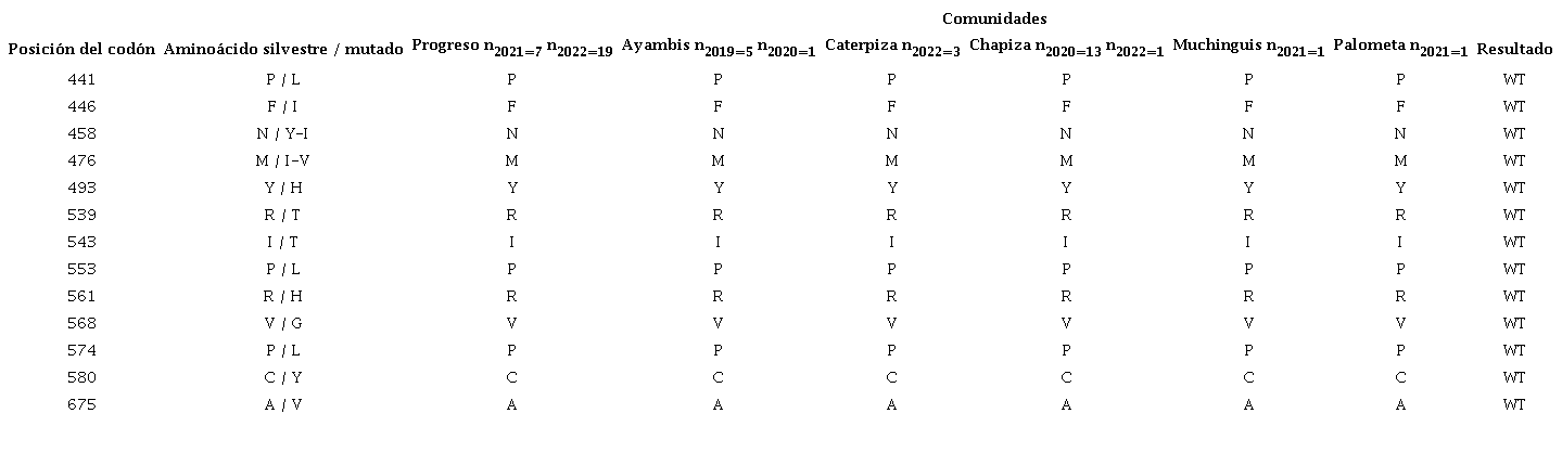 Ausencia de mutaciones en el dominio de la hélice del gen K13, en muestras de las comunidades nativas de Condorcanqui. Se exhibe el alelo de fenotipo silvestre 3D7 para todas las muestras.