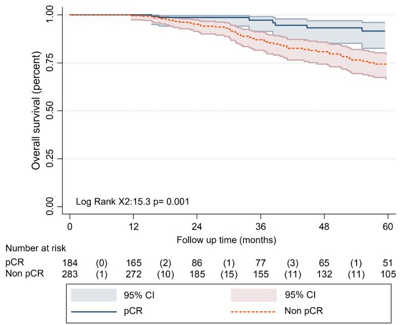 Survival analysis based on pathologic complete response status