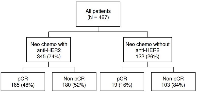 Number of patients by type of neoadjuvant therapy and rates