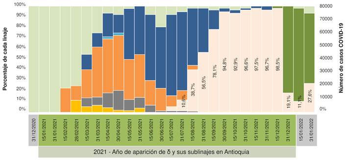 Porcentaje de linajes de SARS-CoV-2 en Antioquia, 2021-2022. Se observa como las variantes ɣ (naranja) y μ (azul oscuro) fueron las m&aacute;s prevalentes durante la primera mitad del 2021 (tercer pico de la pandemia) hasta la aparici&oacute;n de δ (naranja claro) en la segunda mitad del mismo a&ntilde;o. δ desplaz&oacute; a todas las dem&aacute;s variantes de SARS-CoV-2 y se convirti&oacute; en el linaje m&aacute;s representativo de este virus hasta diciembre del 2021 cuando apareci&oacute; ο (verde oscuro), que desplaz&oacute; r&aacute;pidamente a δ durante ese mismo mes.