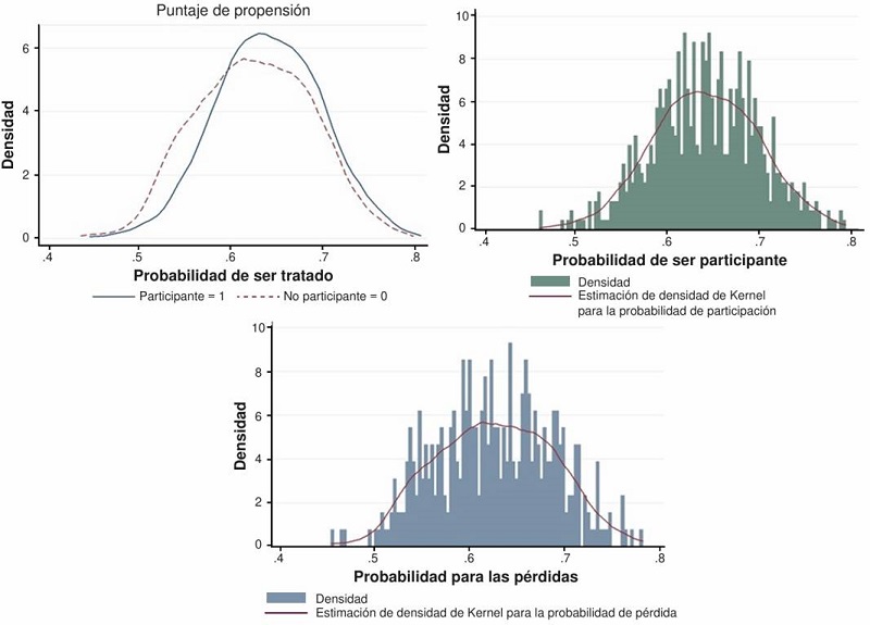 Probabilidad de participación de acuerdo con los factores de confusión