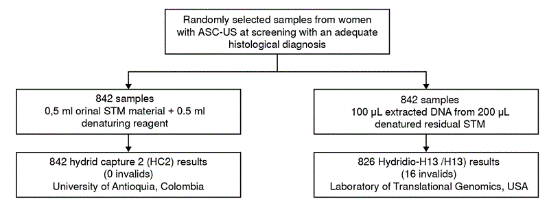 Flowchart showing the process from the sample panel collation and HPV testing to the final endpoint ascertainment of diseased and non-disease groups. STM: Specimen transport medium.