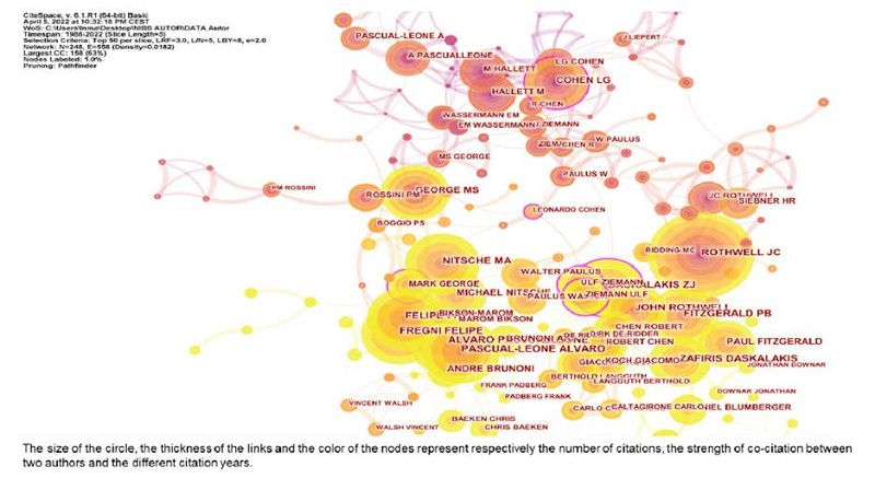 Co-authorship of non-invasive brain stimulation research