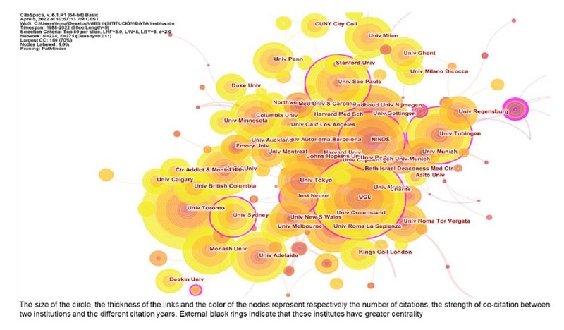 Co-institutes in the field of non-invasive brain stimulation