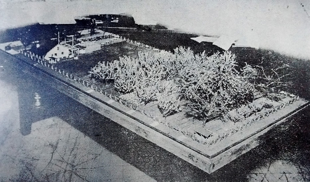 maqueta de huerto obrero