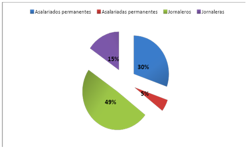 Citricultura. Participación relativa sobre el trabajo asalariado total del trabajo permanente o temporal y según sexo. Año 2011.
