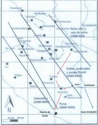 Figura 1. Franjas ecol�gicas en el territorio ayacuchano y rutas del  ganado vacuno