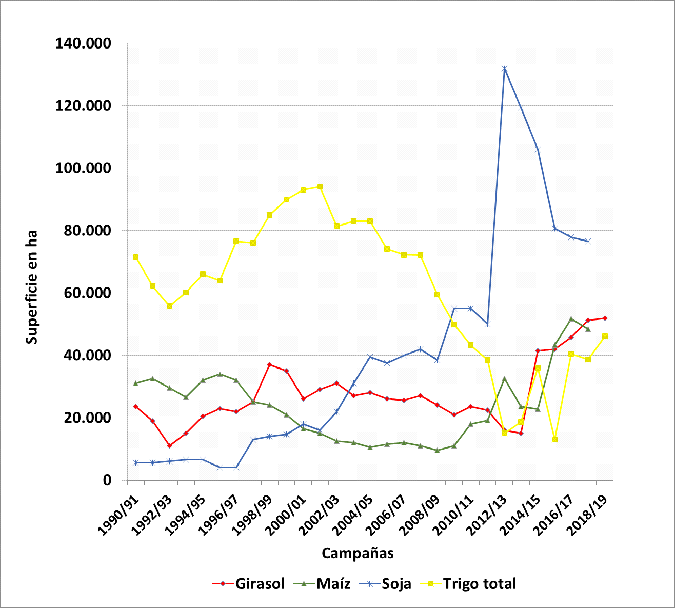 Evoluci�n de la superficie sembrada (ha) con los principales cultivos en el partido de Balcarce. Campa�as 1990-2019