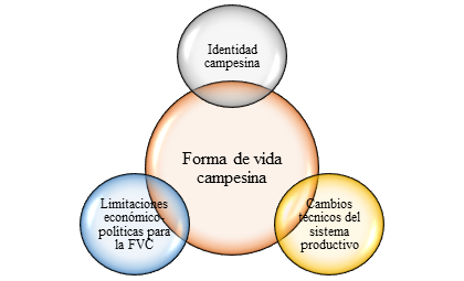Categor�as emergentes derivadas de la reducci�n de las categor�as originales