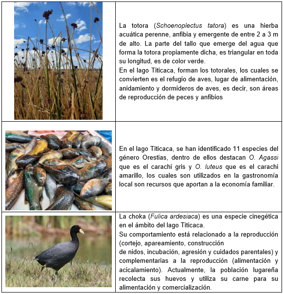 Caracter�sticas de las especies de mayor aprovechamiento en la RNT