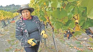 Nuevas actividades agrcolas asociadas al turismo