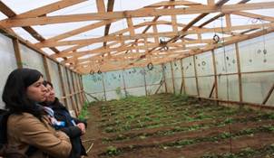 Invernadero de hortalizas como parte de la cadena productiva