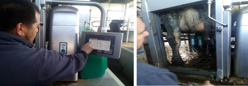 Trabajador realizando la labor de conexin guiada