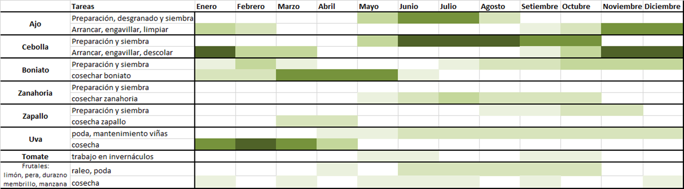 Ciclo de empleo en la horticultura de los trabajadores transitorios Villa Arejo