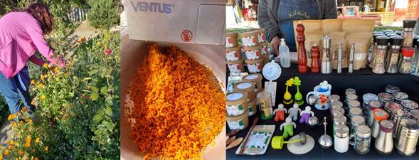 Proceso de cosecha, elaboraci�n y venta