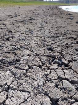 Erosi�n h�drica Laguna de Pullalli, registro 2022