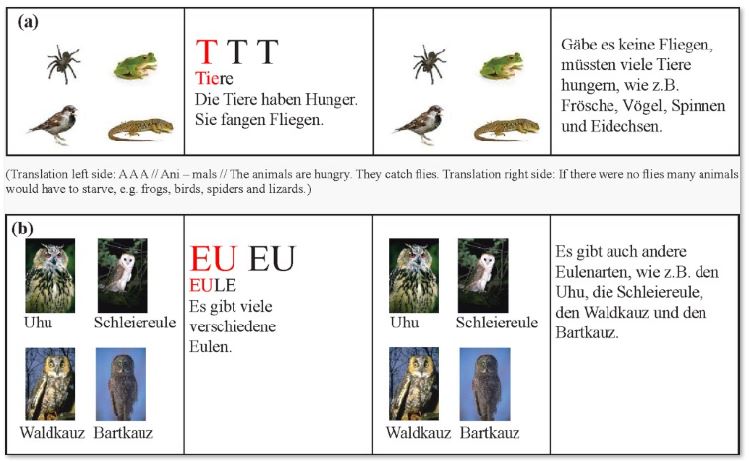 (a) Textbook pages on the subject of flies. (Left side: phoneme-to-sentence level, right: text level) (according to 
						MANSKE, 2017). 
						(b) Textbook pages on the subject of owls. Left side: phoneme-to-sentence level; right side: text level (according to 
						MANSKE, 2017)
					