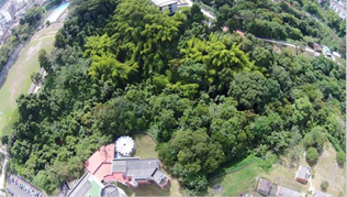  Panor&aacute;mica a&eacute;rea Relicto Vegetal
Cedro Rosado.