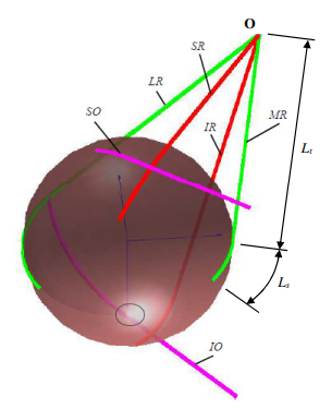 The extraocular muscles of the right eye. Each EOM wraps the globe on a great
arc, Ls, between
corresponding insertion and tangency points, and reaches its origin through the
straight-line segment Lt.  