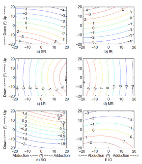 Isodeformation
curves of EOMs of a right eye; level curves in mm.