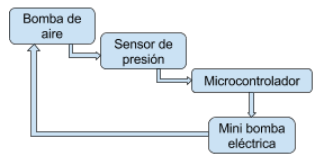 Esquema por fases para el montaje de la planta