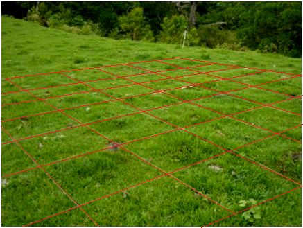  Diseño de reticulado y micro-topografía
para la adquisición de datos.