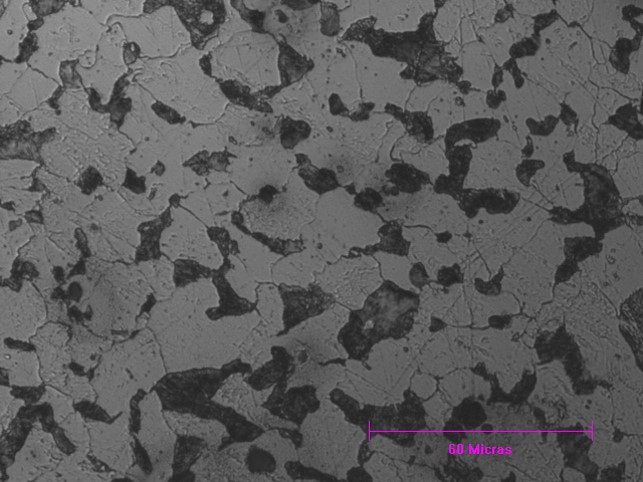 Optical micrograph of a Ferrite – perlite steel