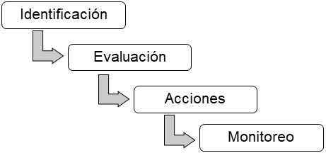 Fases para la gesti&oacute;n del riesgo.