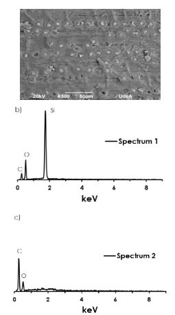 SEM micrograph of coconut fiber from (a) external wall and EDX results for two different local spectrums from (b) inside the white dot and (c) outside the pits.