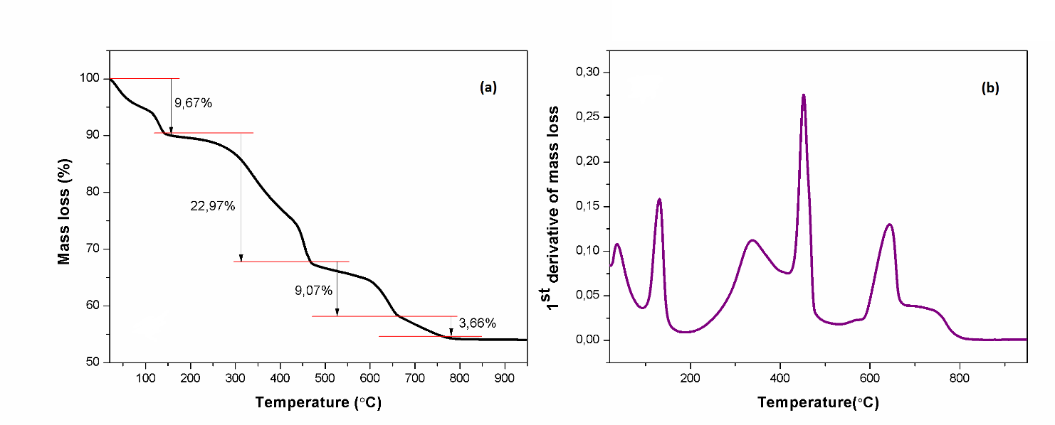 (a) TGA sample curve of the sheep bones powder (b) first derivative when samples are subjected to a range of temperatures from room temperature to 950 C with a rate of 5C/min.