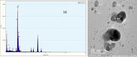 (a) Espectro EDX; (b) Micrograf&iacute;a TEM para las semillas de plata Protocolo 2