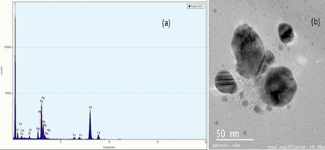 (a) Espectro EDX; (b) Micrograf&iacute;a TEM para las nanopart&iacute;culas de plata de P2