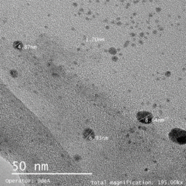 Micrograf&iacute;a TEM para las nanopart&iacute;culas de plata ensayo P2