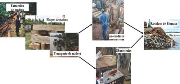 Esquema de generación de residuos de biomasa