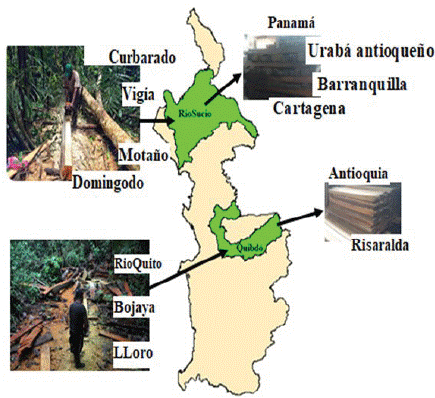 Ruta de la madera en los municipios de Quibdó y Riosucio